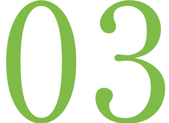 03